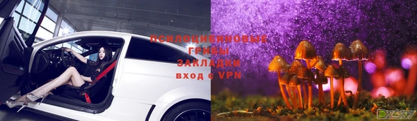 прущая мука Арсеньев