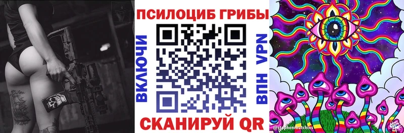 Купить закладки  Морозовск  Псилоцибиновые грибы мухоморы 
